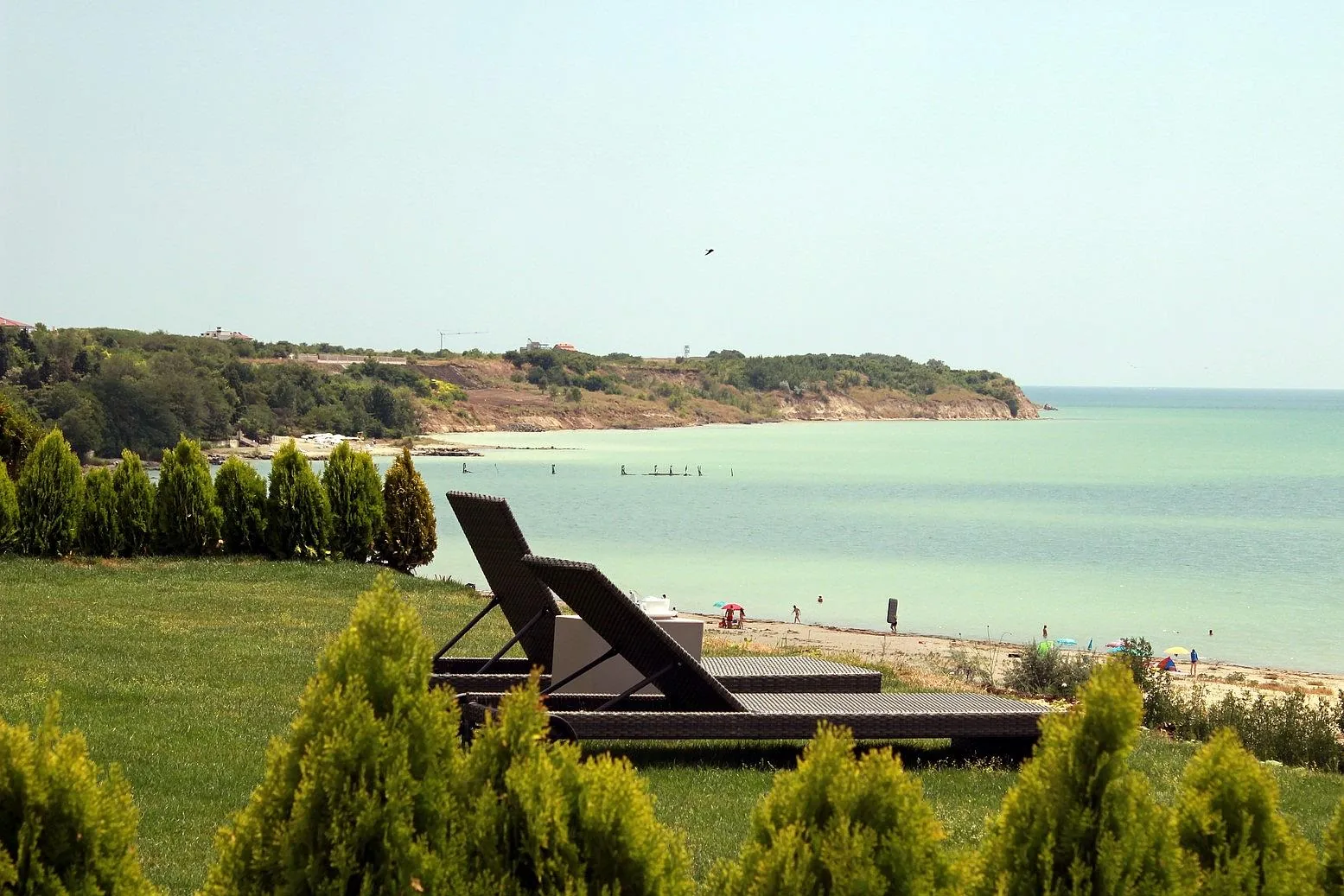 Property view